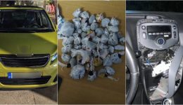 glifada-mploko-se-diakiniti-narkotikon