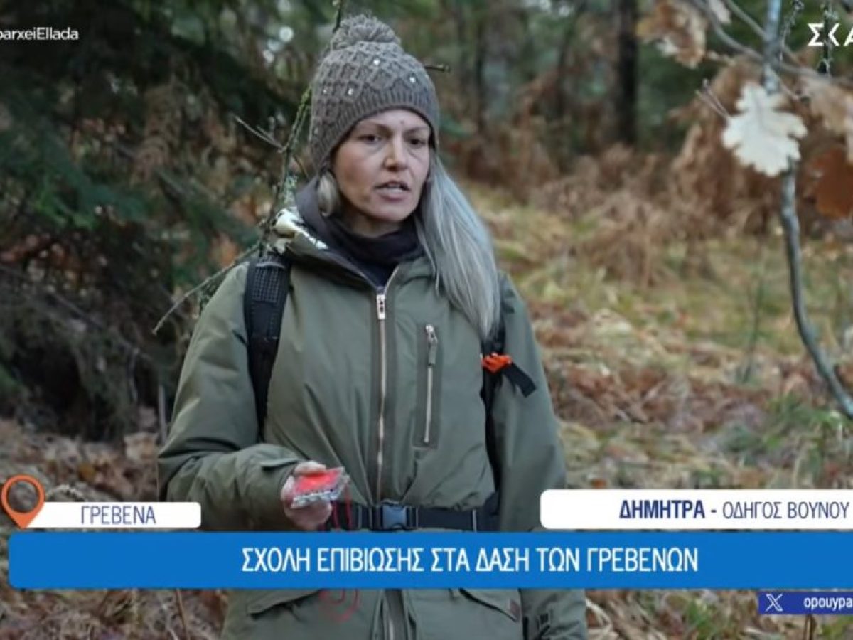 Γρεβενά: Σχολή επιβίωσης στα δάση των Γρεβενών (VIDEO)