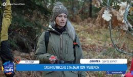grevena-scholi-epiviosis-sta-dasi