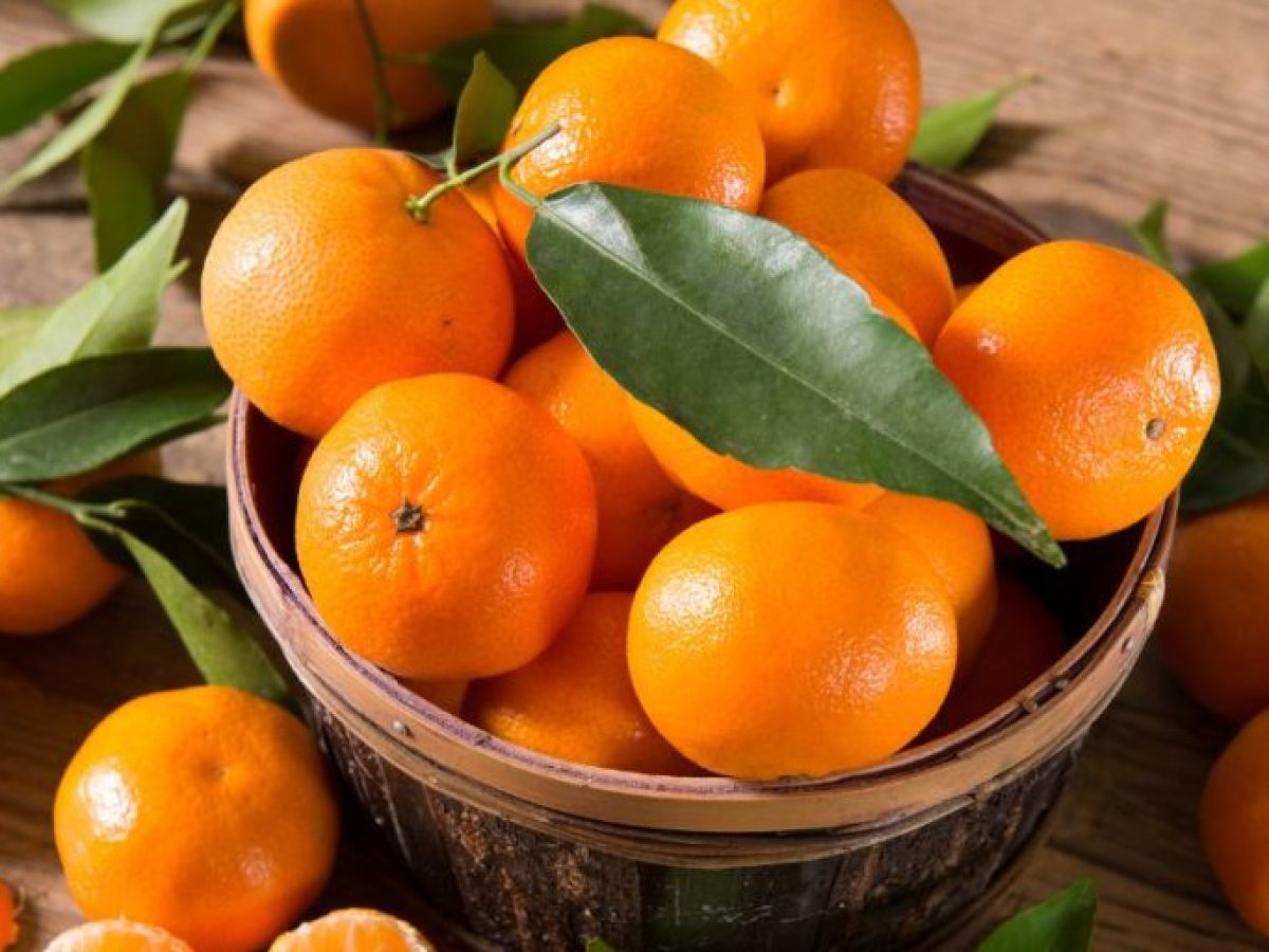 Η 4η Γιορτή Μανταρινιού φέρνει γεύσεις και χορό στην πλατεία του Δρεπάνου