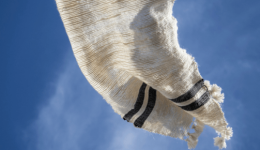 i-anaviosi-tis-archeas-ellinikis