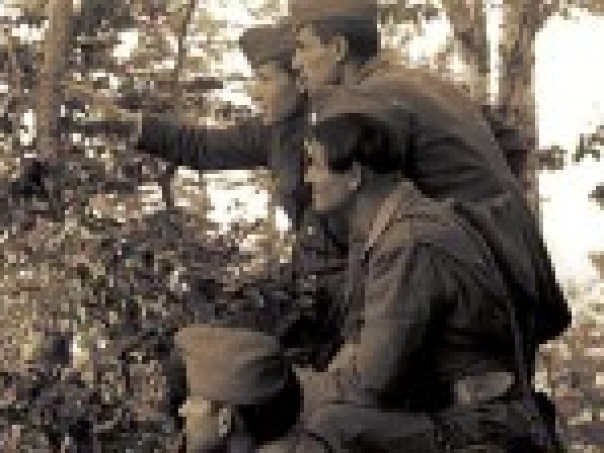 Η Επίθεση στο Λιτόχωρο: Η πρώτη ένοπλη απάντηση στην τρομοκρατία
