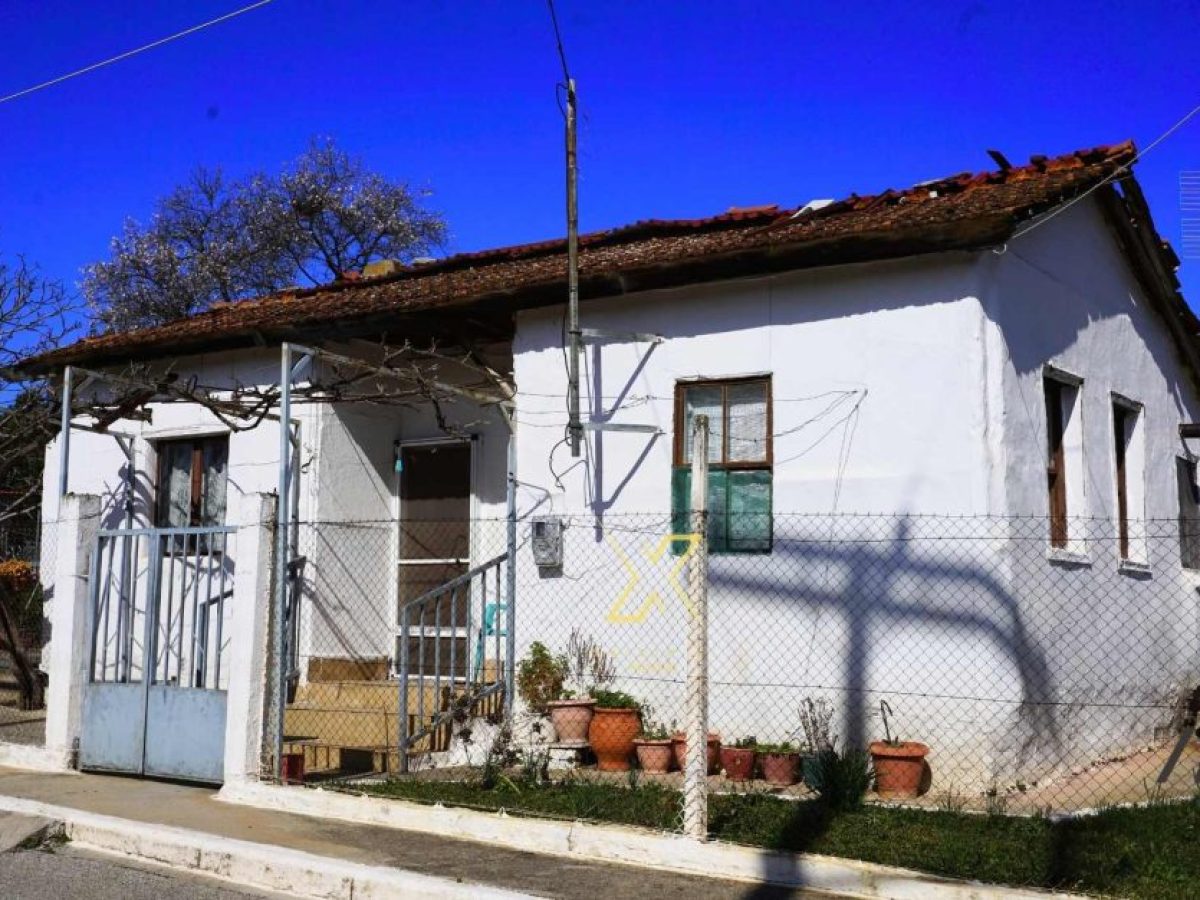 Η φωτογραφία της ημέρας:Συνοικία «Το Όνειρο»