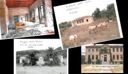 i-ikona-os-topos-grafis