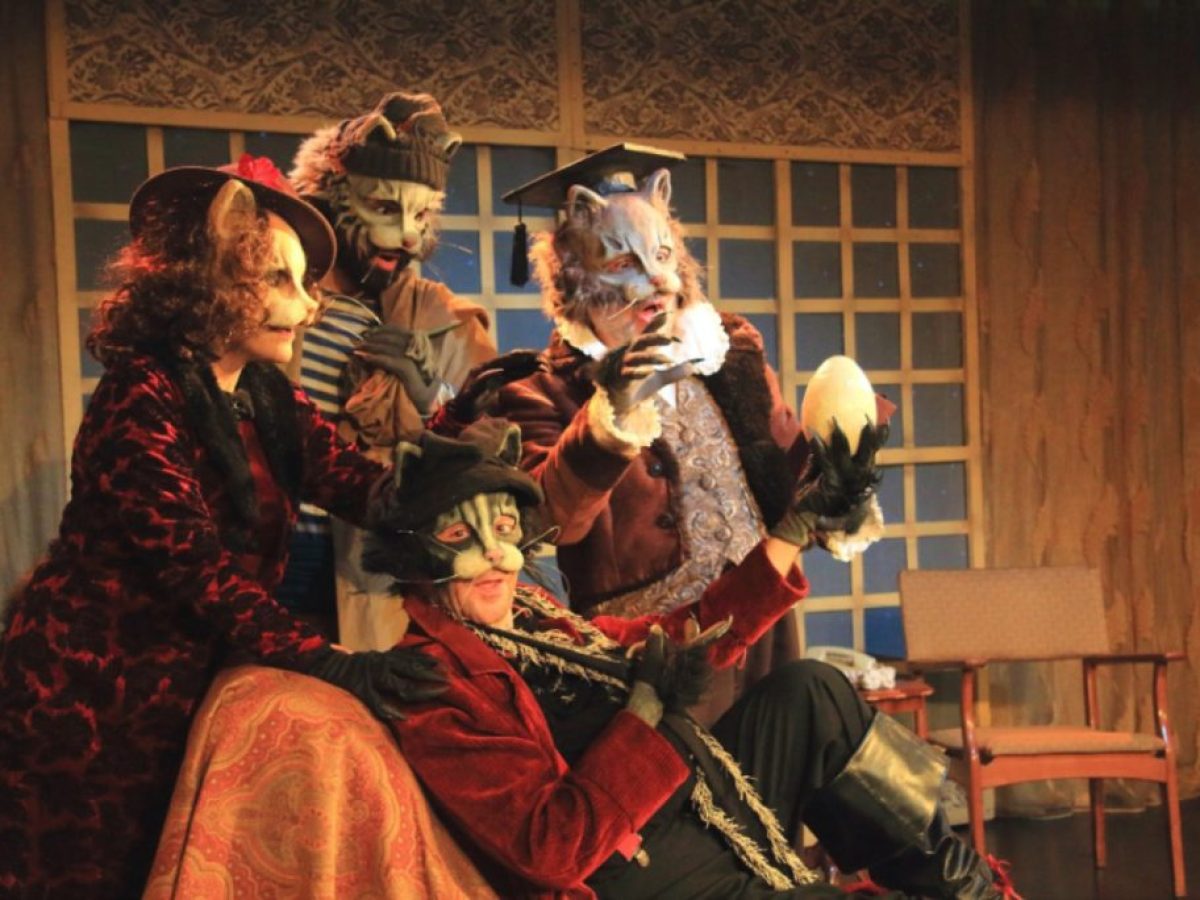 Η ΙΣΤΟΡΙΑ ΤΟΥ ΓΑΤΟΥ, ΠΟΥ ΕΜΑΘΕ Σ’ΕΝΑ ΓΛΑΡΟ ΝΑ ΠΕΤΑΕΙ  …2ος χρόνος