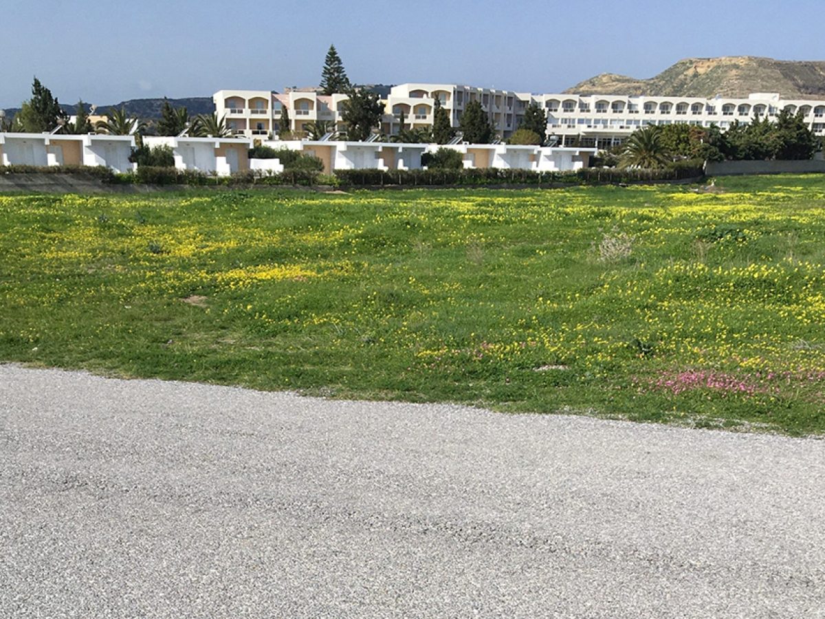 Η Οδύσσεια ενός επενδυτή στην Κω!