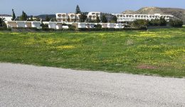 i-odissia-enos-ependiti-stin-1