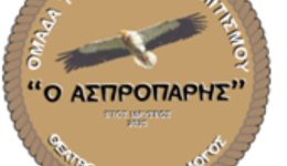 i-omada-technis-ke-politismou