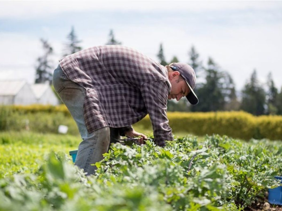 Η Περιφέρεια Δυτικής Ελλάδας παρουσιάζει την πρότασή της για τη νέα ΚΑΠ
