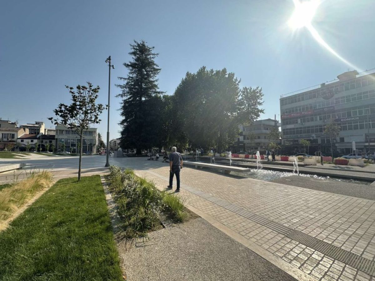 Η Πλατεία του «Σρέντινγκερ» και το «Ρηχό» Δόγμα Καταβούτα