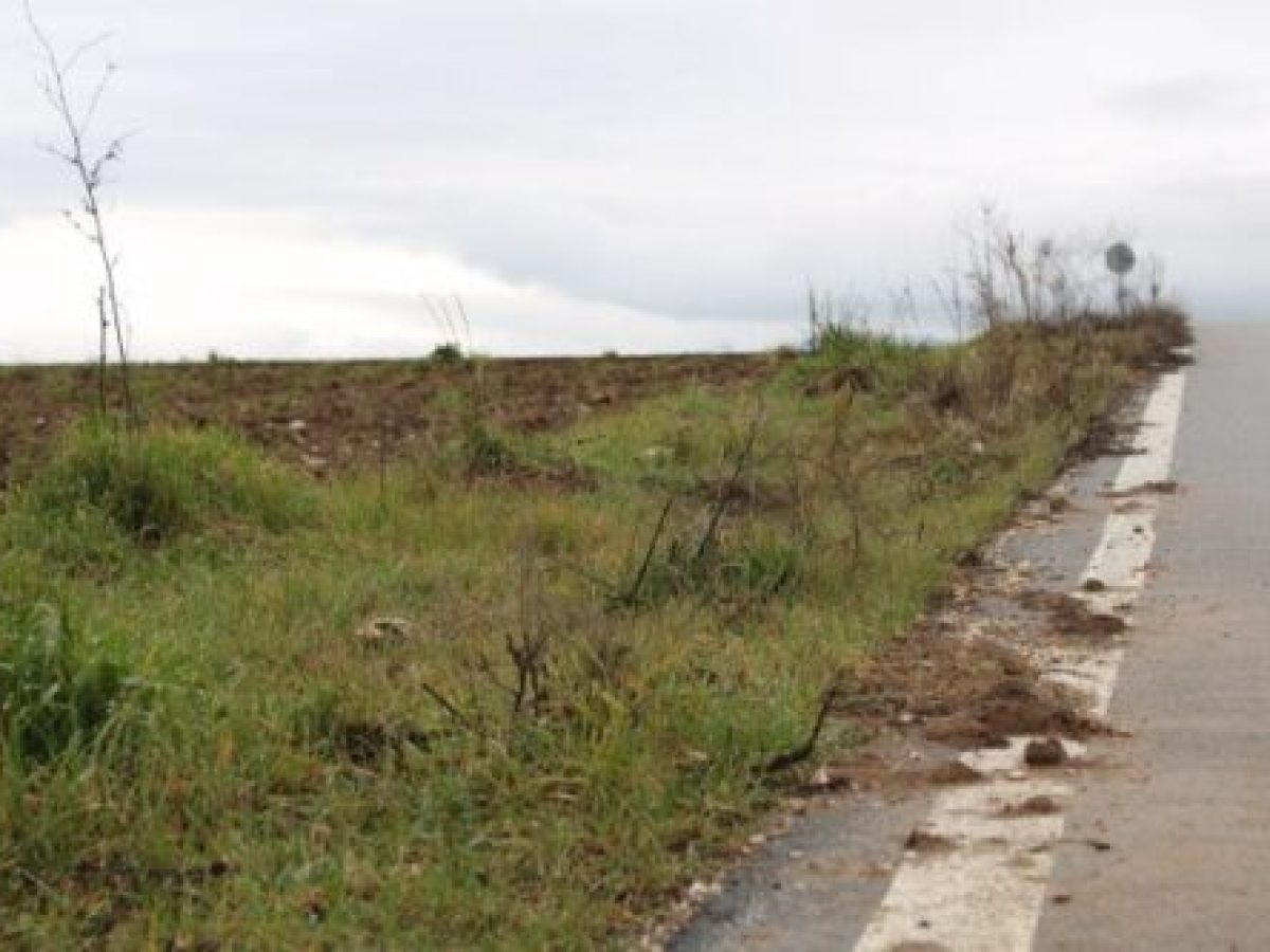 Η σημασία της αγροτικής οδοποιίας για τους δήμους με πρωτογενή παραγωγή