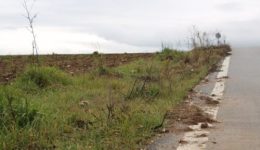 i-simasia-tis-agrotikis-odopiias