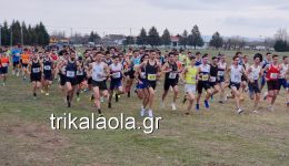 i-skΑmnies-etimazonte-na-ipodechthoun