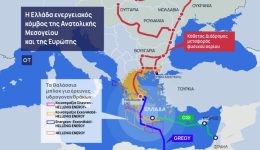 i-Αlexandroupoli-os-skotino-antikimeno