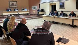 idiki-sinedriasi-logodosias-dimotikis-&Alpha;rchis