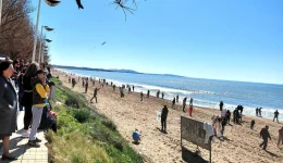 ilia-vouliaxe-i-kourouta-gia