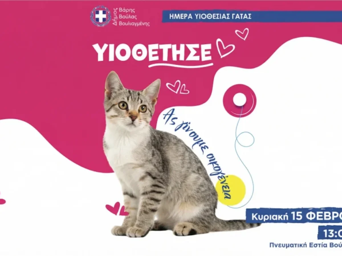 Ημέρα Υιοθεσίας Γάτας στη Βούλα στις 15 Φεβρουαρίου