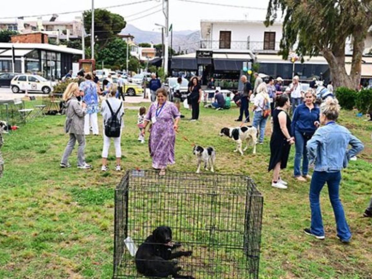 Ημέρα Υιοθεσίας την Κυριακή 8/2 στη Νέα Μάκρη από τον σύλλογο Ελπίδα