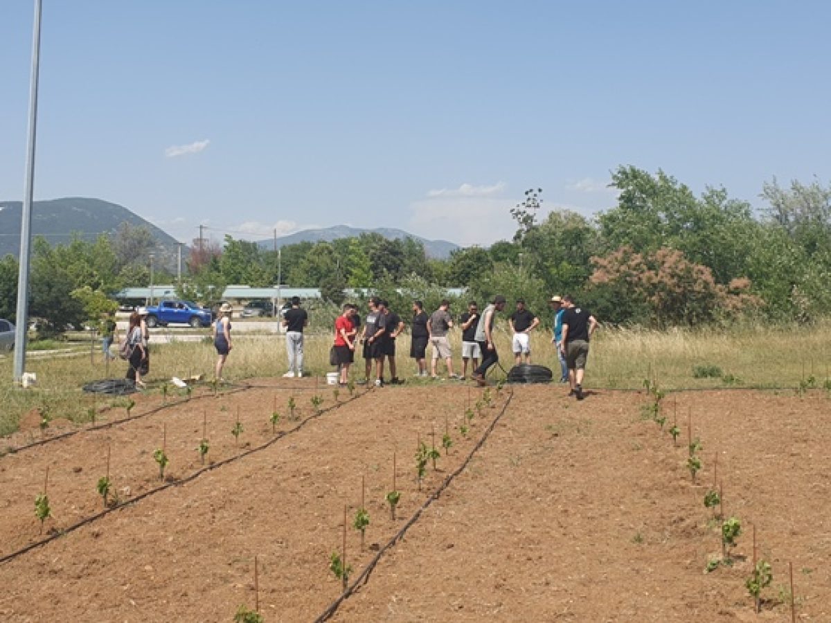 Ημερίδα με θέμα τον οίνο που «τρέφει σώμα και νου» και τη «μεσογειακή διατροφή»  ΣΑΕΚ Νοσηλευτικής – Τμήμα Αμπελουργίας Οινολογίας Δράμας
