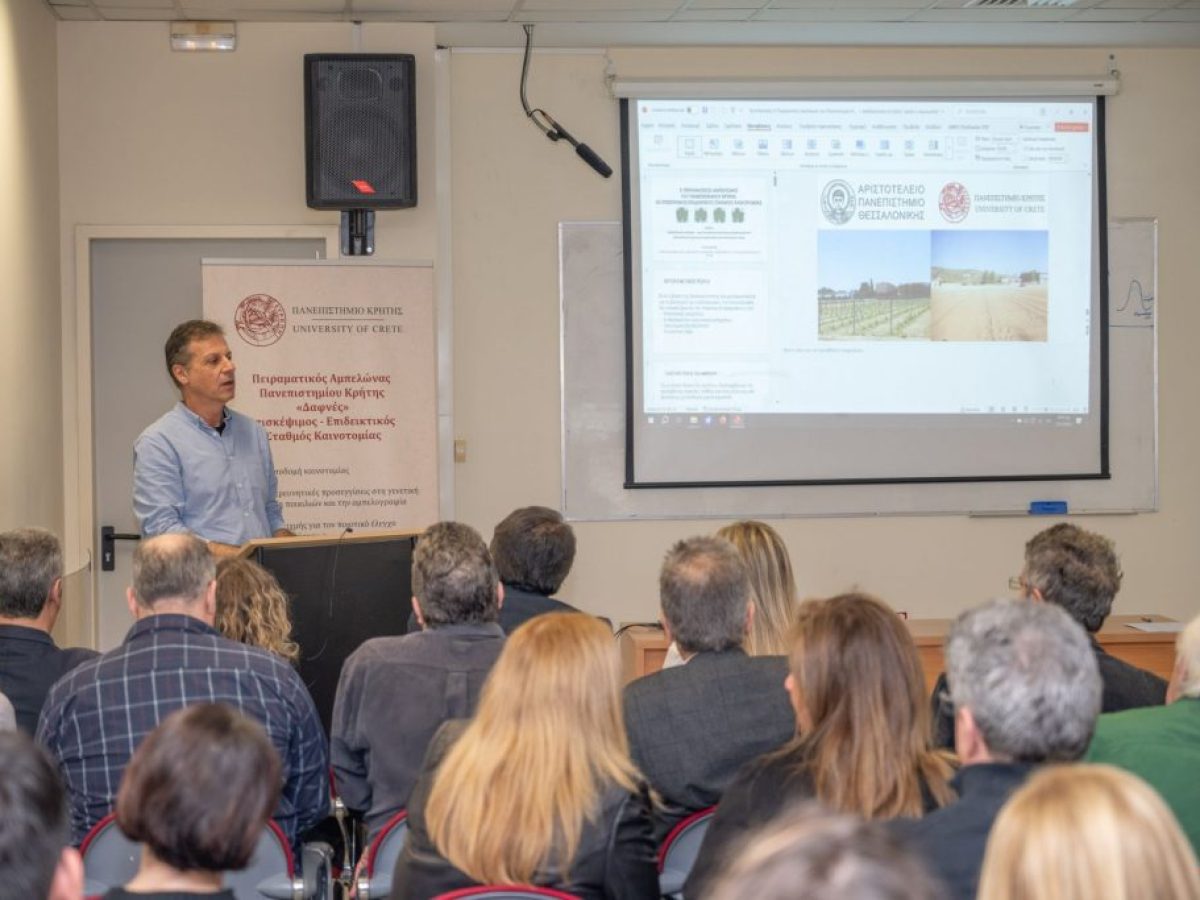 Ηράκλειο: Το μέλλον του κρητικού κρασιού σε επιστημονική ημερίδα