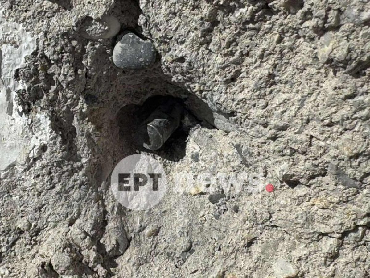 Ηράκλειο: Βρέθηκαν όπλα, φυσίγγια και ποσότητες φιτιλιού σε ποιμνιοστάσιο στα Βορίζια