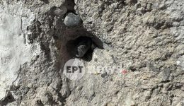 iraklio-vrethikan-opla-fisingia-ke