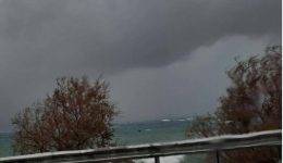 ischiro-bourini-sarose