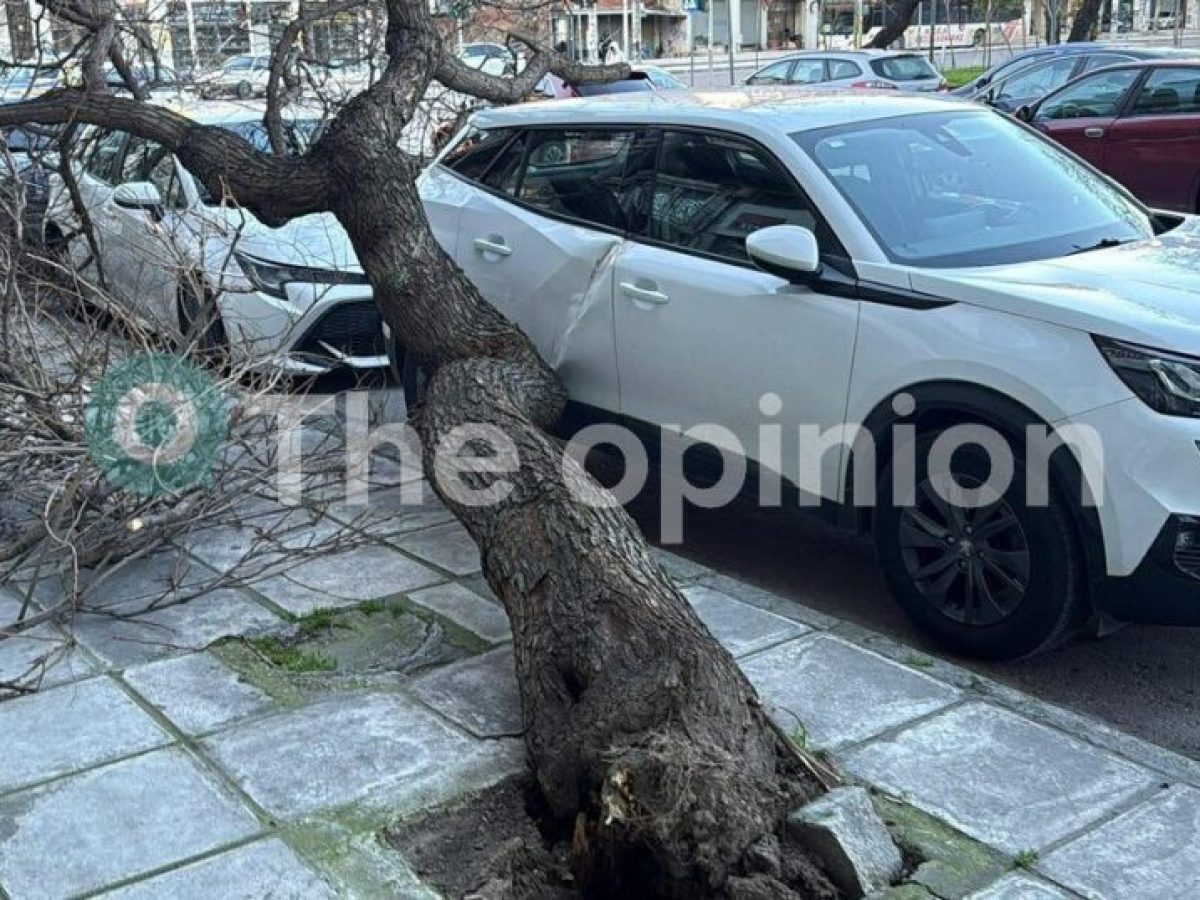 Κ. Μακεδονία: 650 κλήσεις δέχτηκε σήμερα η Πυροσβεστική λόγω των ισχυρών ανέμων