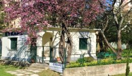 kalamata-i-drasis-tou-fevrouariou