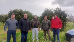 kalivia-&Alpha;griniou-megales-apolies-apo