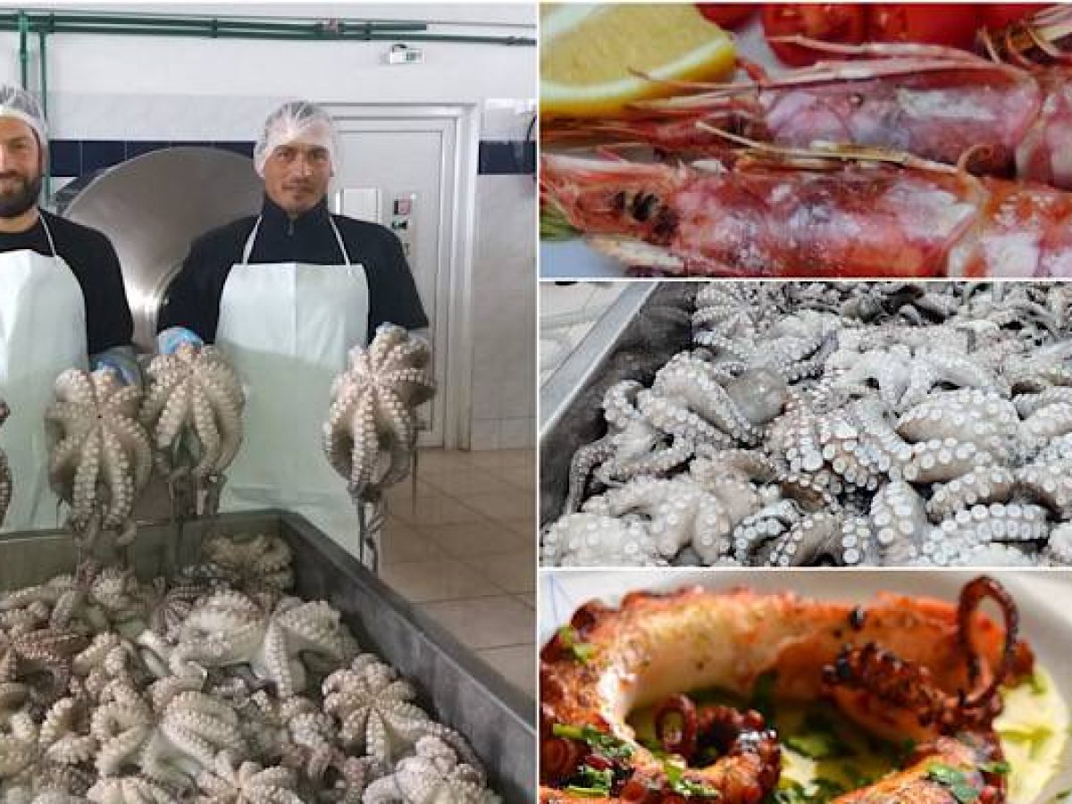 Καθαρά Δευτέρα με θαλασσινή υπογραφή ΟΚΤΑΠΟΥΣ Λήμνος!