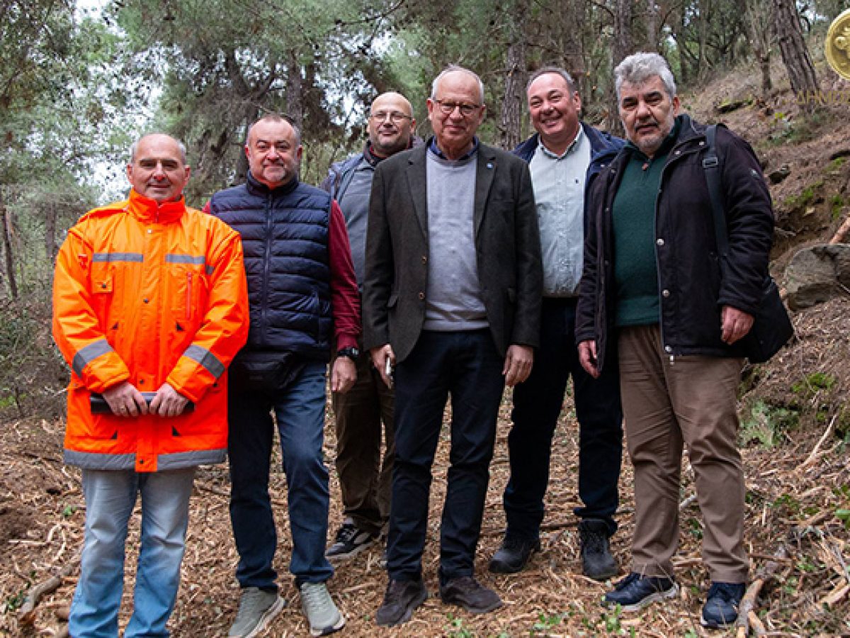 Καθαρισμός δασικής έκτασης στο Παληό