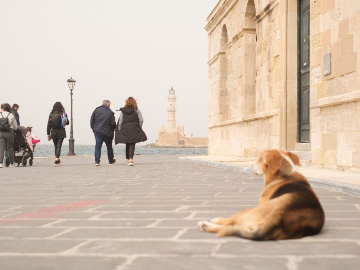 Κάθε ρεκόρ έσπασε η συγκέντρωση αφρικάνικης σκόνης στην Κρήτη – Φωτογραφίες από τα Χανιά