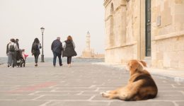 kathe-rekor-espase-i-sigkentrosi