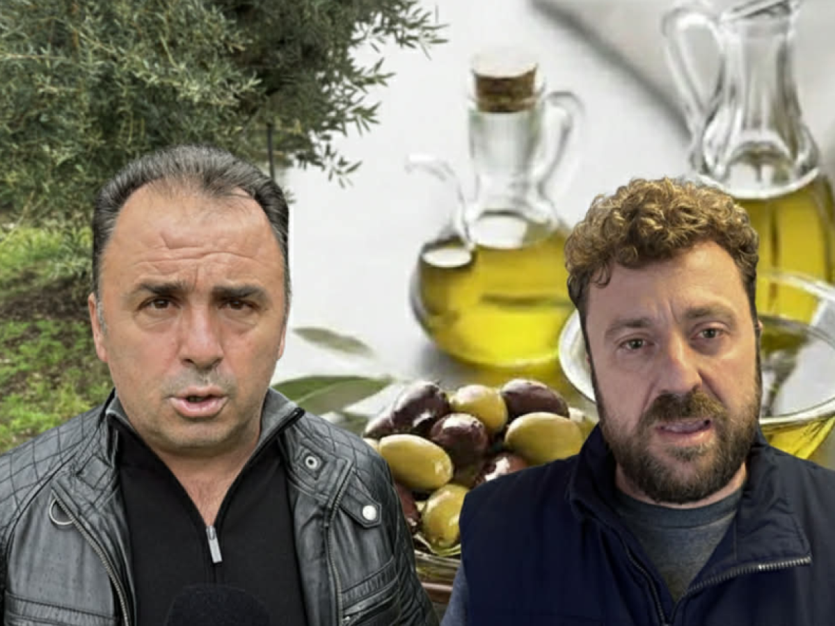Κατρακυλούν οι τιμές του ελαιολάδου – Στο «κόκκινο» οι παραγωγοί για τις εισαγωγές από τρίτες χώρες