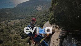 katsiki-egklovistike-se-disvato-simio