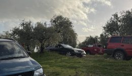kenourgio-Άkarpes-gia-4i-mera