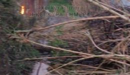 kerkira-fotia-se-kalamia-sto-1