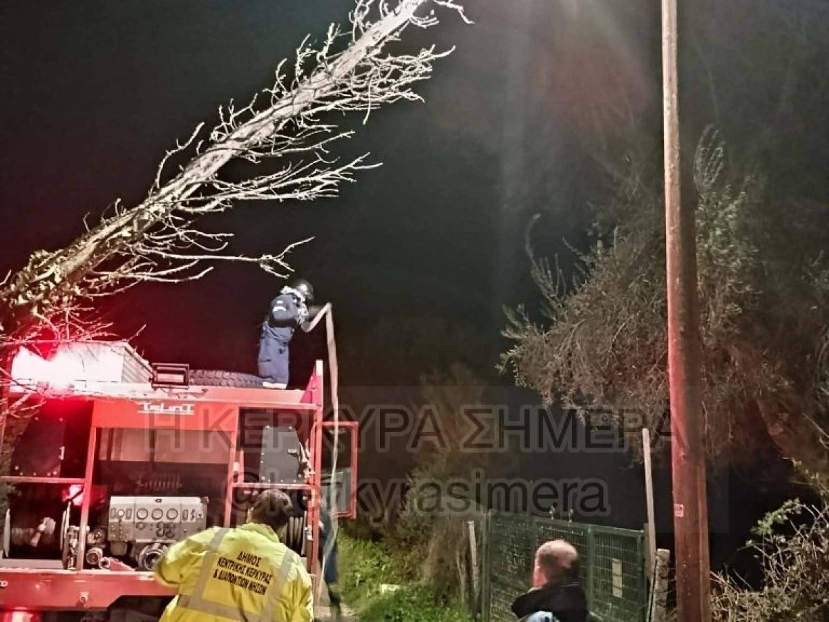 Κέρκυρα: Πτώσεις δέντρων σε Πουλάδες και Κασσιώπη από τους θυελλώδεις ανέμους (vid)