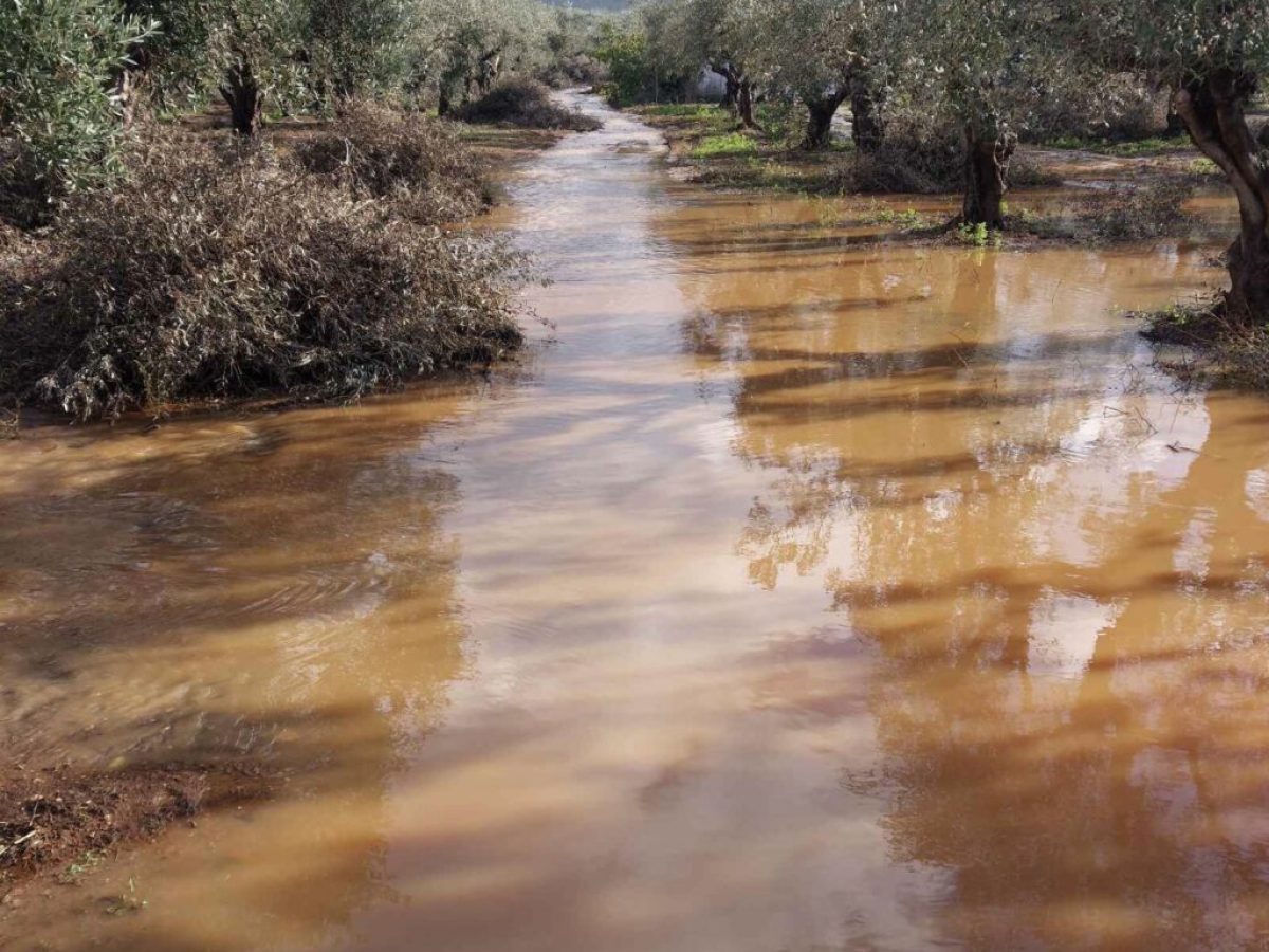 Κι άλλες περιοχές του Δήμου Οιχαλίας  κηρύσσονται σε κατάσταση έκτακτης ανάγκης