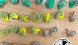 kilkis-chiropedes-se-aniliki-pou