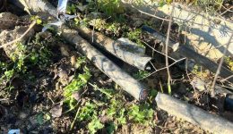 kiranakis-kapii-ithelan-nea-tempi