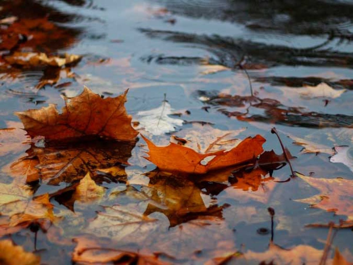 Κυριακή με βροχές: Πώς θα εξελιχθεί η κακοκαιρία σε Νέα Μάκρη και Μαραθώνα