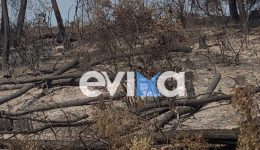 klidosan-terastia-erga-se-dio