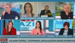 konstantina-karampatsoli-i-politiki-ine