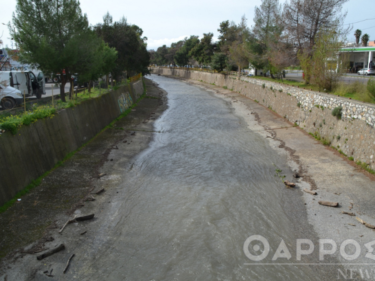 Κορμοί… από νεκρά πλατάνια απειλούν να… φράξουν τον Νέδοντα