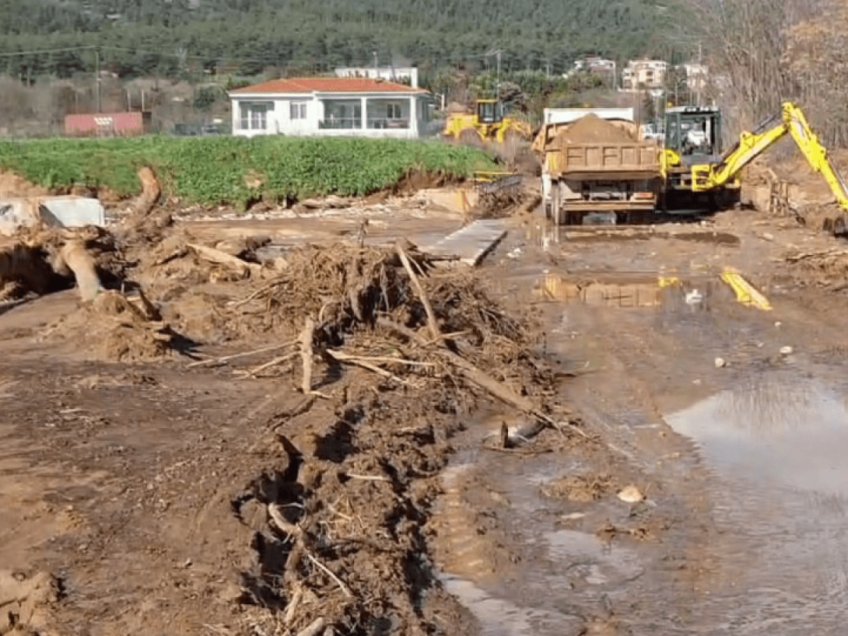 Κορμούς 12 μέτρων παρέσυραν τα ρέματα