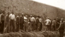 kozani-ellinas-sillektis-gia-ti-sillogi