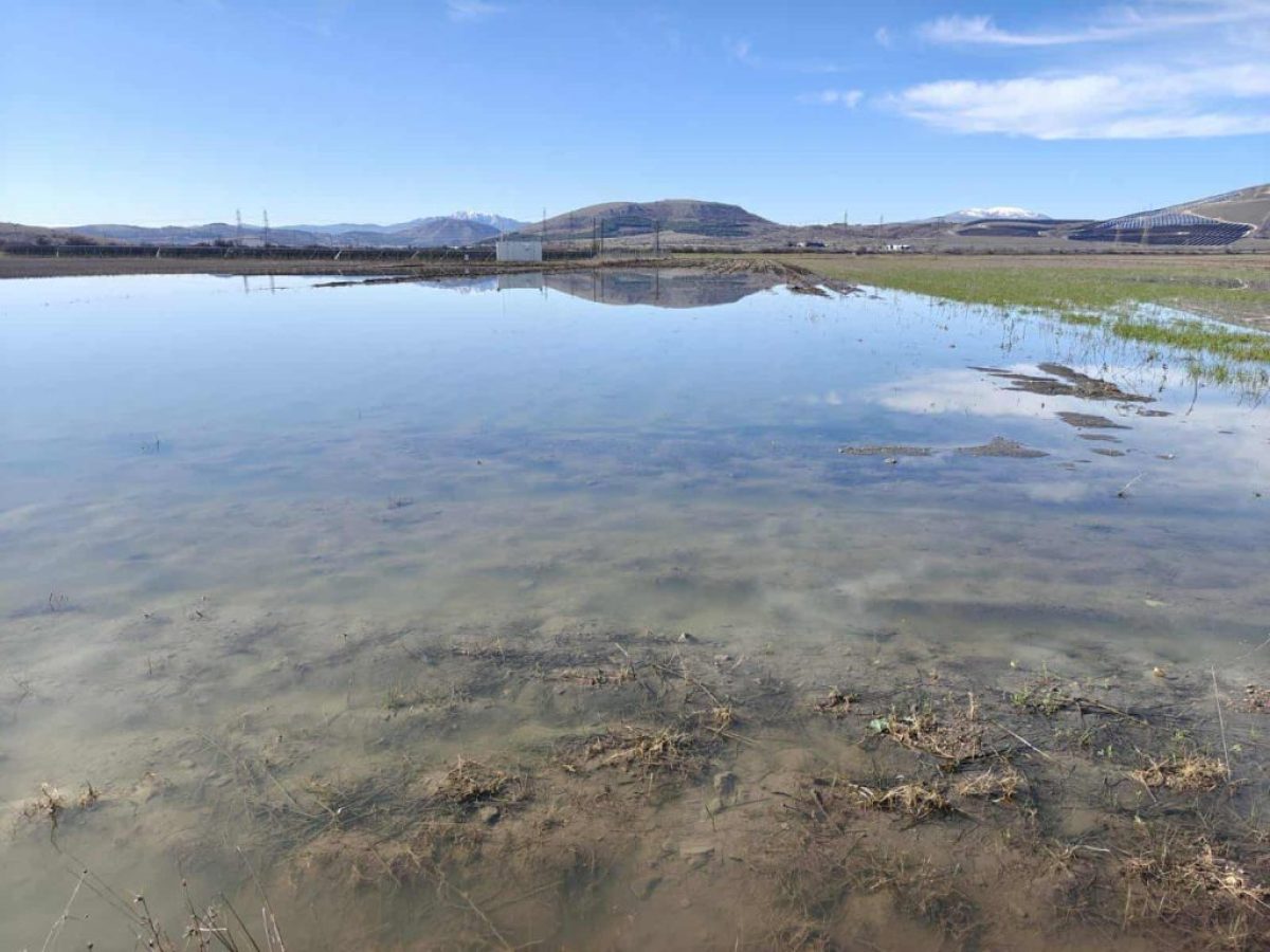 Κοζάνη: Σε απόγνωση οι αγρότες στον κάμπο Σαριγκιόλ – Εκατοντάδες στρέμματα ξανά κάτω από το νερό