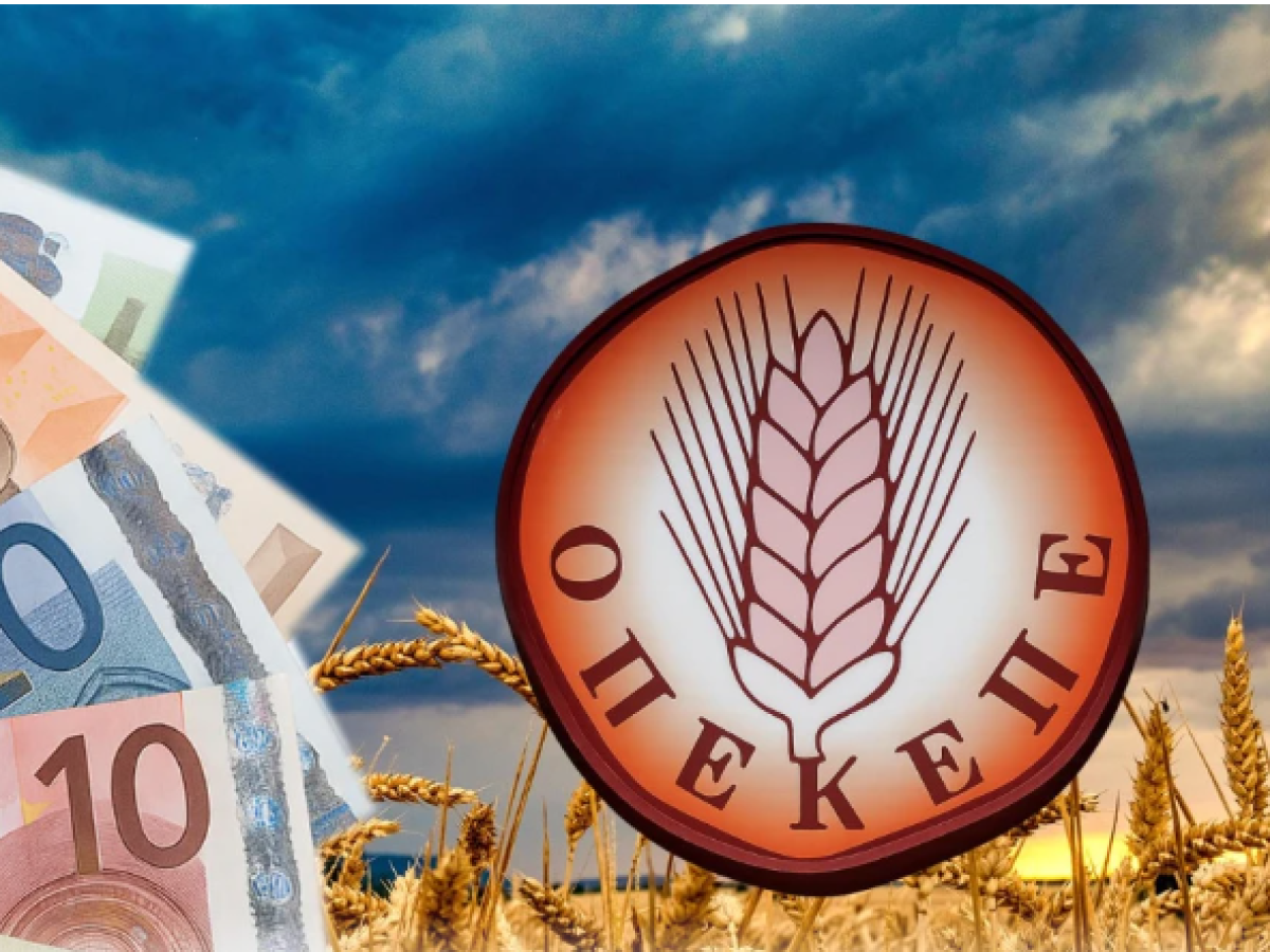 Κρήτη – ΟΠΕΚΕΠΕ: 8 εκατ. ευρώ φέρεται να απέκρυψε ο αγροτοσυνδικαλιστής